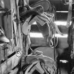 Dairy Queen Brazier-Hamill's